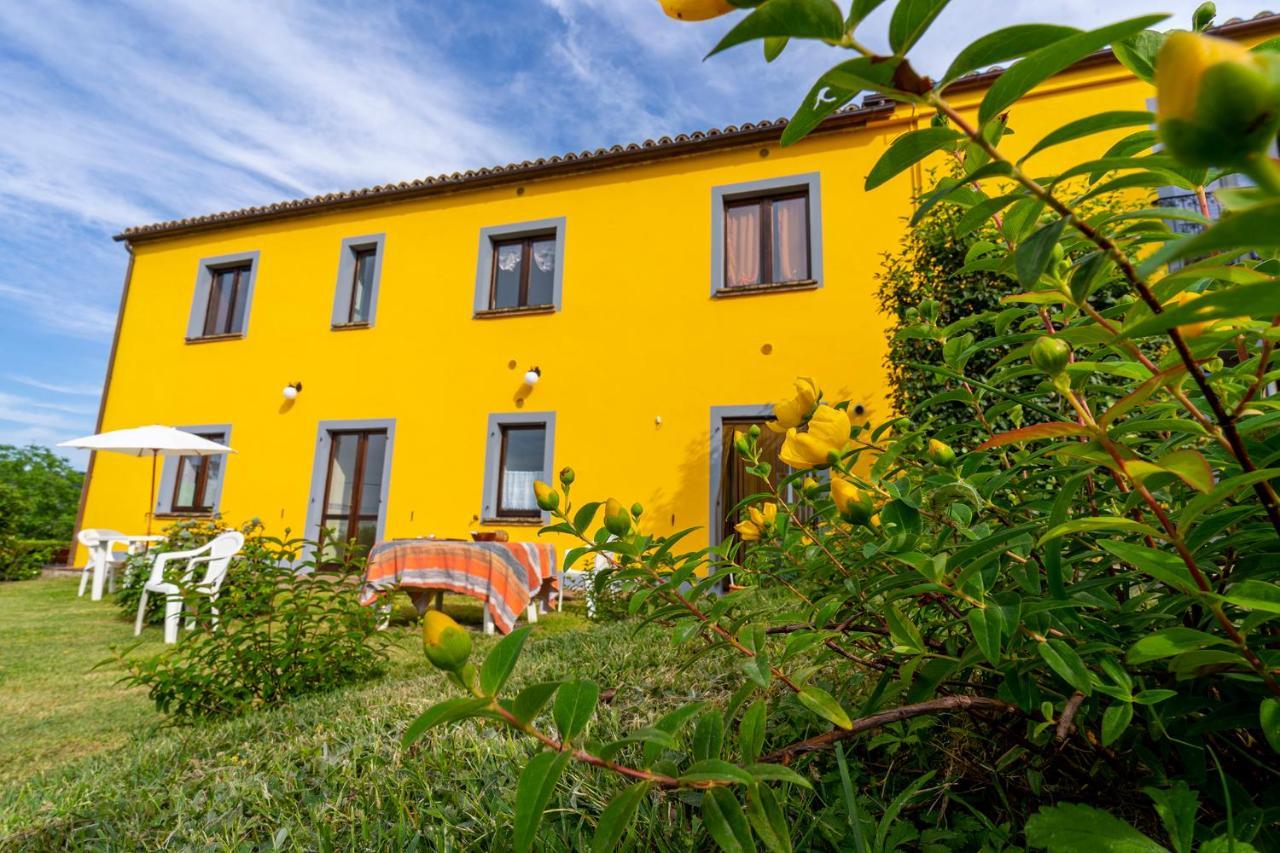 L'olmo Di Casigliano