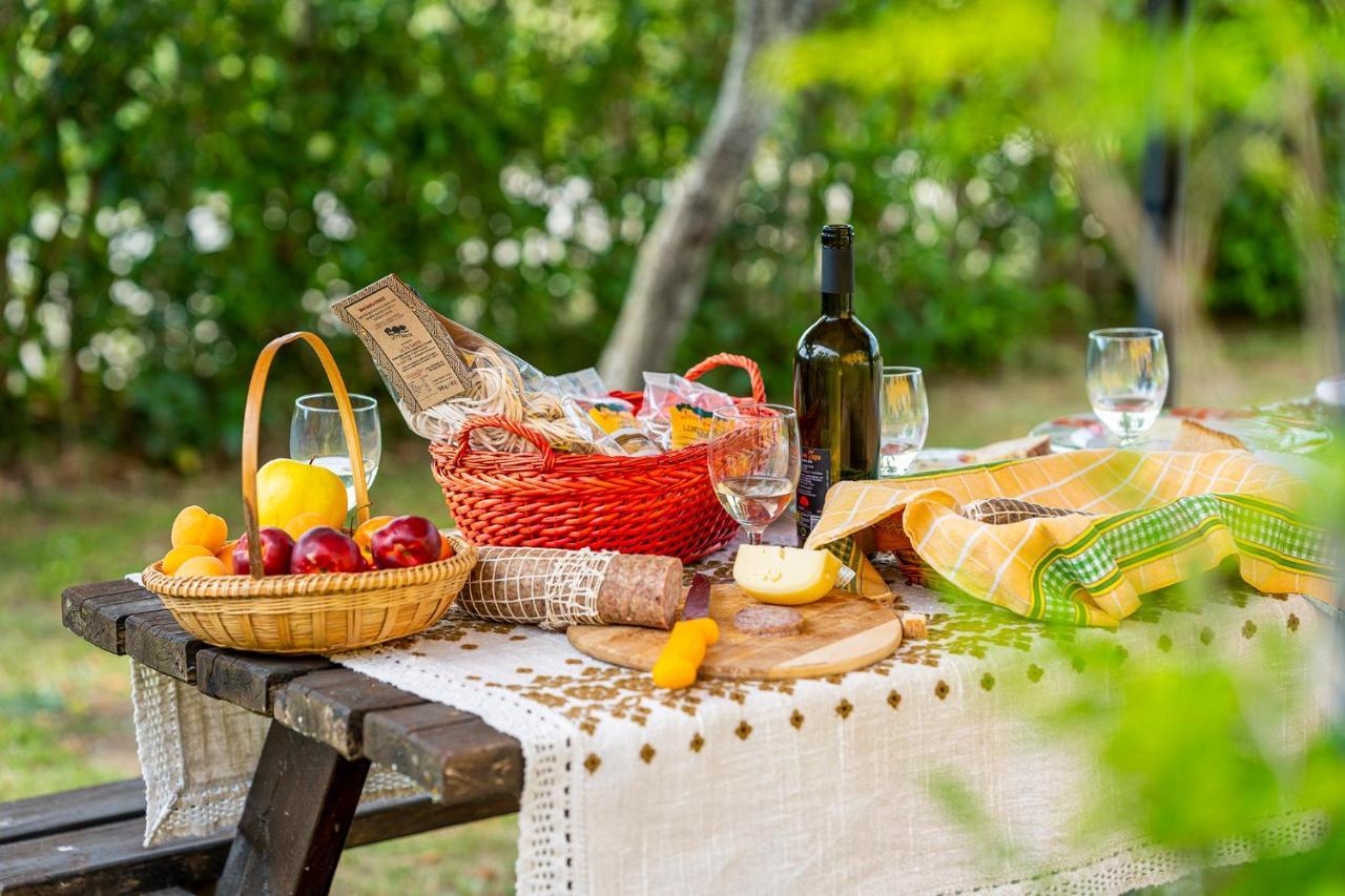 L'olmo Di Casigliano Farm stay Cessapalombo