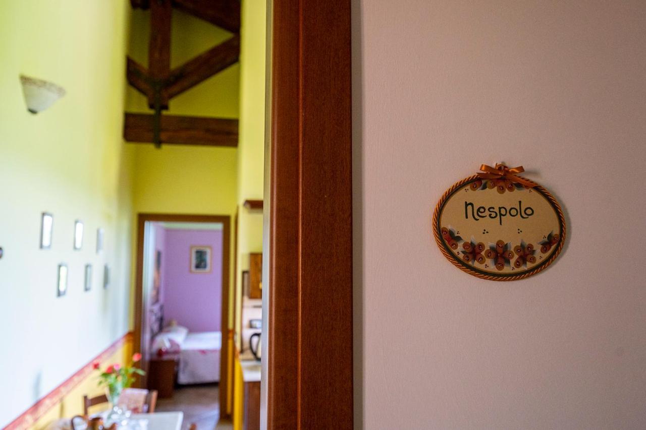 L'olmo Di Casigliano