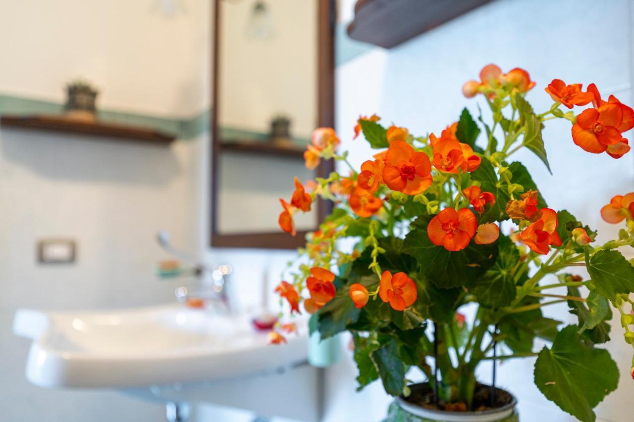 Farm stay L'olmo Di Casigliano