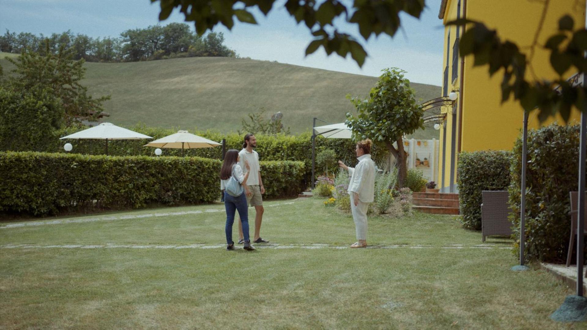 L'olmo Di Casigliano
