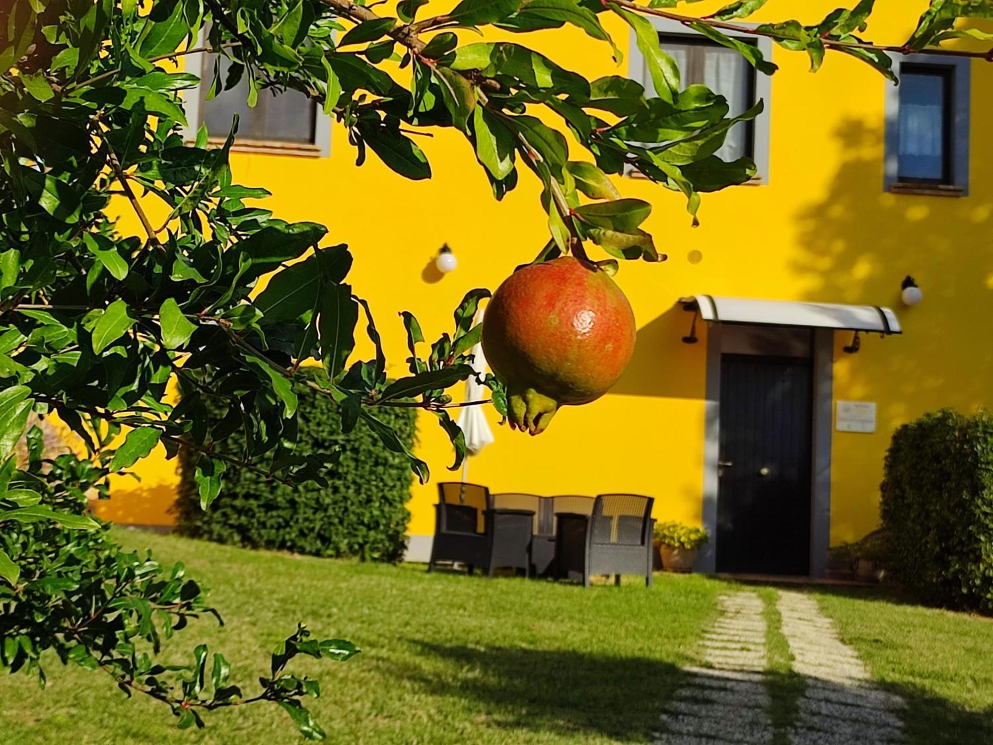 L'olmo Di Casigliano Farm stay Cessapalombo