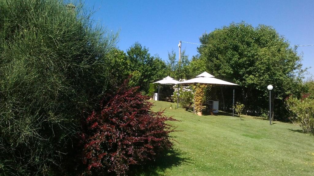 Farm stay L'olmo Di Casigliano *