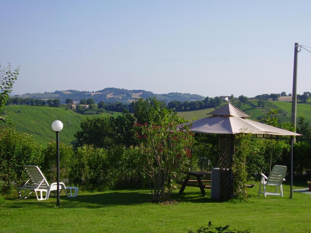 L'olmo Di Casigliano