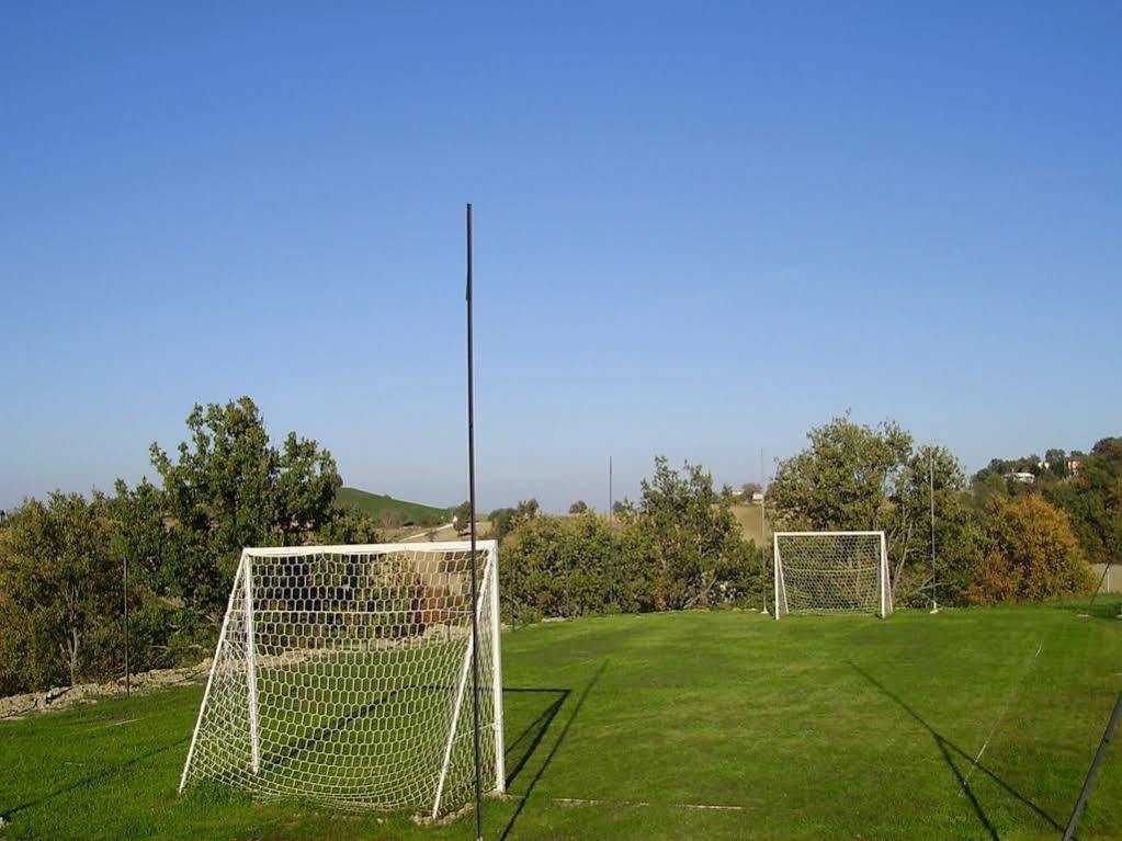 L'olmo Di Casigliano Cessapalombo